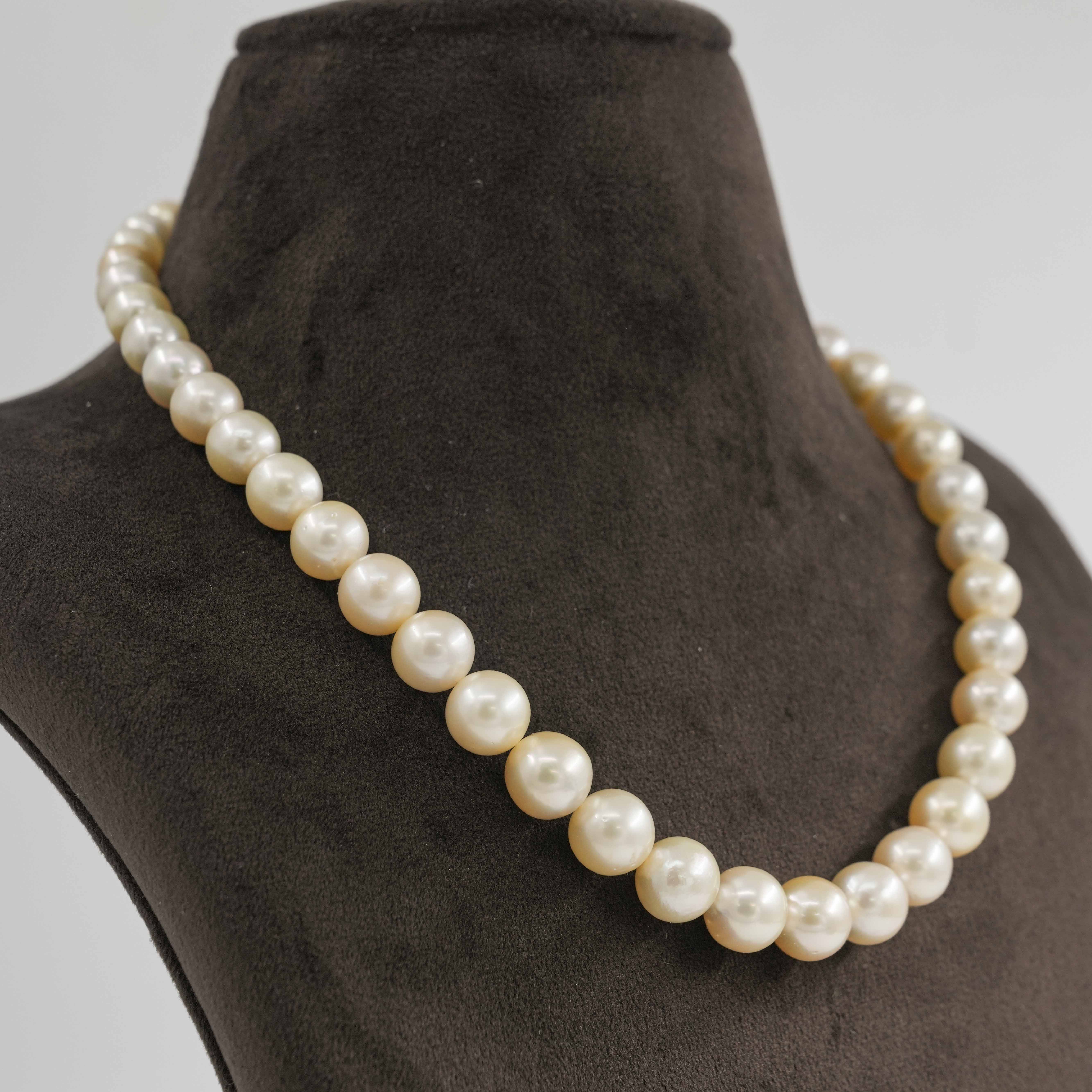 Order Timeless South Sea Pearl Strand online in Hyderabad